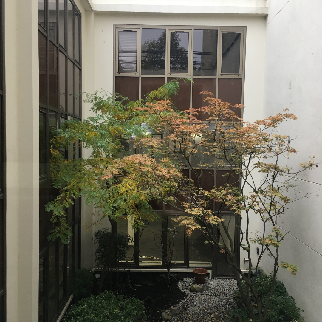 rénovation bureau Neuilly-sur-Seine résultat Renov&Co
